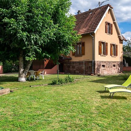 La Maison De Vacances De Colmar Et Son Jardin Εξωτερικό φωτογραφία